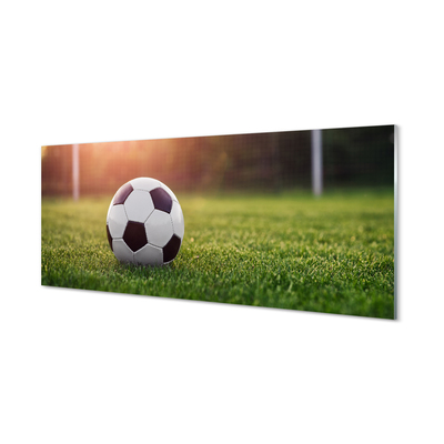 Acrylglasbilder Gras fußball-gateway