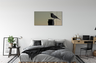 Acrylglasbilder Schwarzer vogel