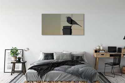 Acrylglasbilder Schwarzer vogel