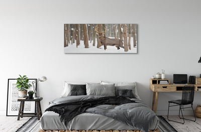 Acrylglasbilder Deer winterwald