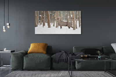 Acrylglasbilder Deer winterwald