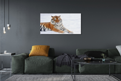 Acrylglasbilder Tiger winter
