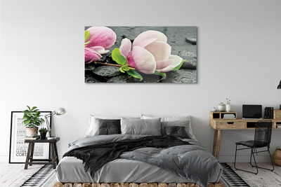 Acrylglasbilder Magnolia steine
