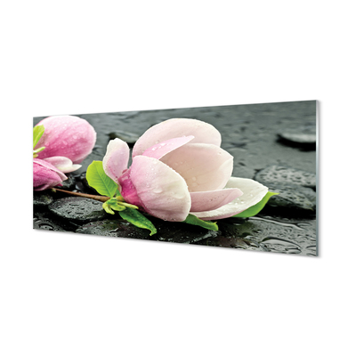 Acrylglasbilder Magnolia steine
