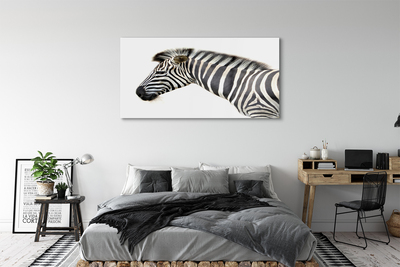 Acrylglasbilder Zebra
