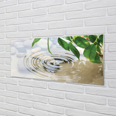 Acrylglasbilder Splash tropfen