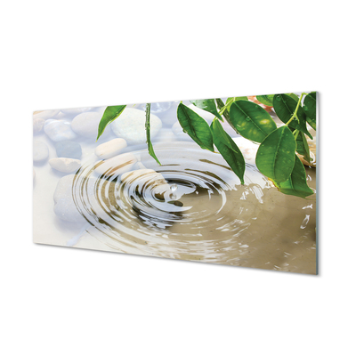 Acrylglasbilder Splash tropfen