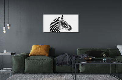 Acrylglasbilder Illustration von zebra