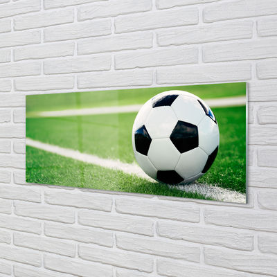 Acrylglasbilder Rasen fußball