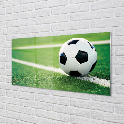 Acrylglasbilder Rasen fußball