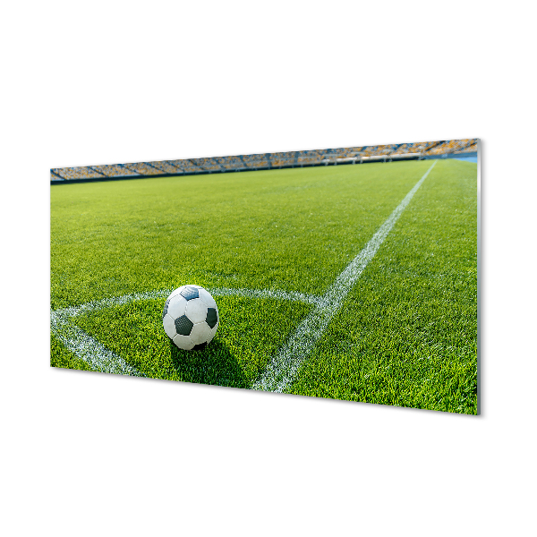 Acrylglasbilder Fußballstadion gras