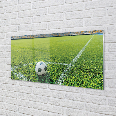 Acrylglasbilder Fußballstadion gras