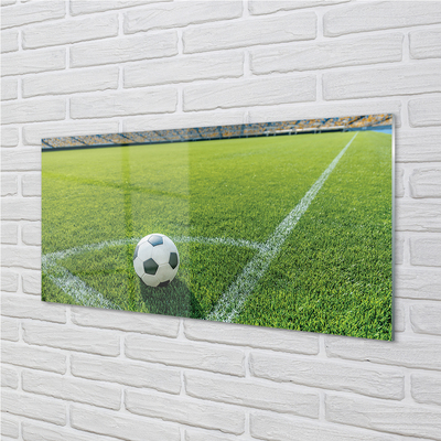 Acrylglasbilder Fußballstadion gras