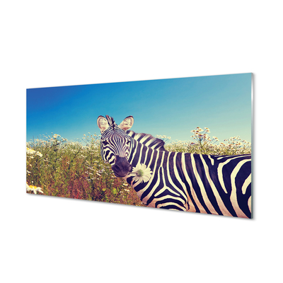 Acrylglasbilder Zebra blumen