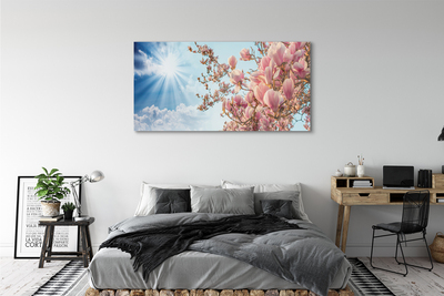 Acrylglasbilder Himmel sonne magnolia