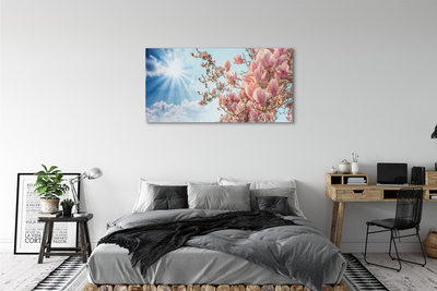 Acrylglasbilder Himmel sonne magnolia