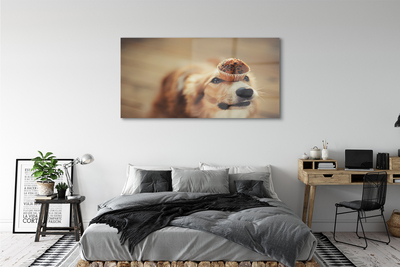 Acrylglasbilder Kleiner hund brot