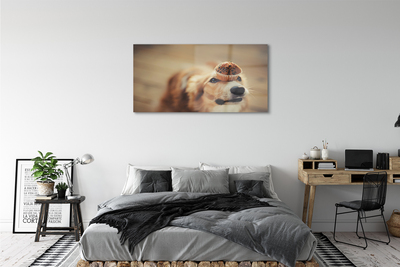 Acrylglasbilder Kleiner hund brot