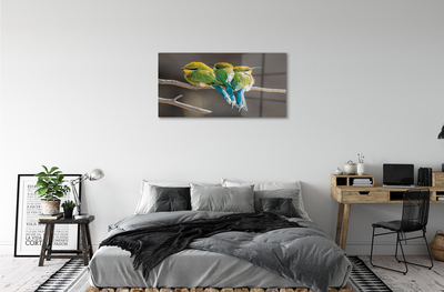 Acrylglasbilder Vögel auf einem ast