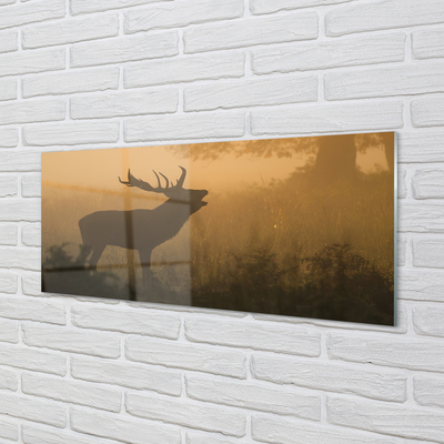 Acrylglasbilder Aufgang der sonne deer