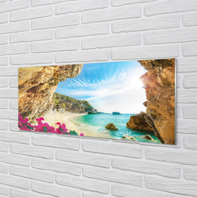 Acrylglasbilder Griechenland küste klippen blumen