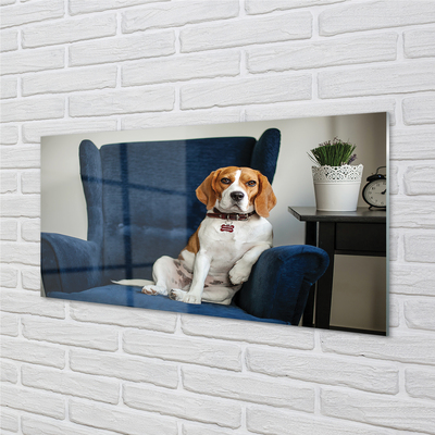 Acrylglasbilder Sit dog