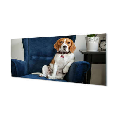 Acrylglasbilder Sit dog