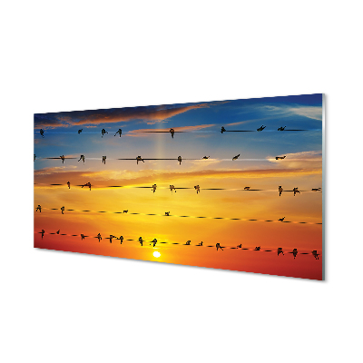 Acrylglasbilder Vögel auf sonnenuntergang seile