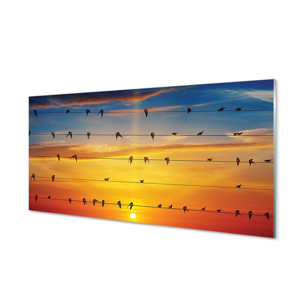 Acrylglasbilder Vögel auf seile sonnenuntergang
