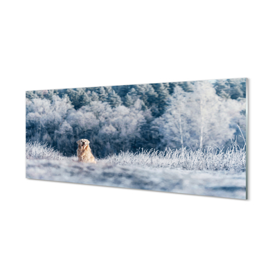 Acrylglasbilder Winter-berghund