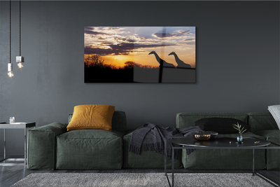 Acrylglasbilder Wolken girafes welle