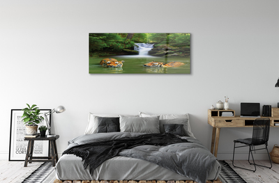 Acrylglasbilder Wasserfall tiger