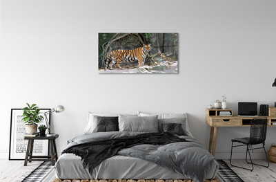 Acrylglasbilder Tiger dschungel