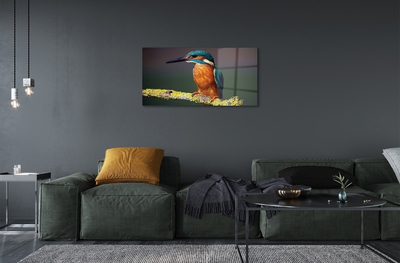Acrylglasbilder Farbiger vogel auf einem ast
