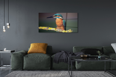 Acrylglasbilder Farbiger vogel auf einem ast