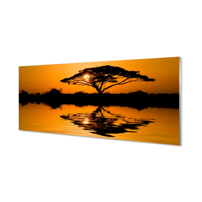 Acrylglasbilder Baum sonnenuntergang