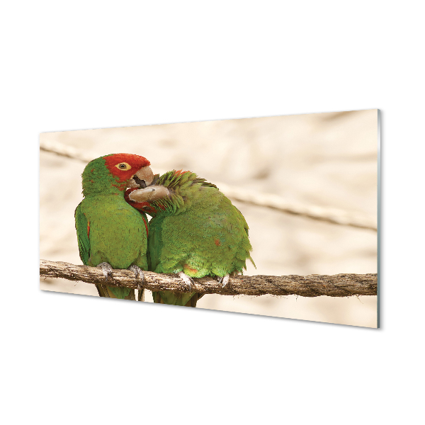 Acrylglasbilder Grüne papageien