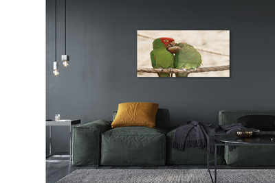 Acrylglasbilder Grüne papageien