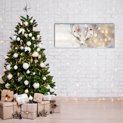 Acrylglasbilder Weiß Ren-Weihnachtskugeln