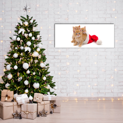 Acrylglasbilder Katzen-Weihnachtsweihnachtsmann