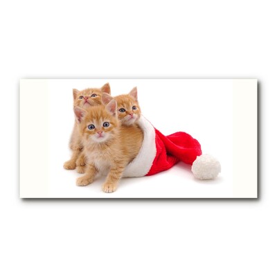 Acrylglasbilder Katzen-Weihnachtsweihnachtsmann