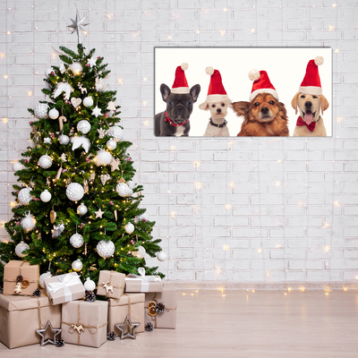 Acrylglasbilder Hunde Weihnachtsmann-Weihnachten