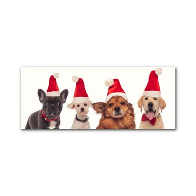 Acrylglasbilder Hunde Weihnachtsmann-Weihnachten