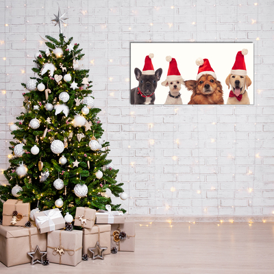 Acrylglasbilder Hunde Weihnachtsmann-Weihnachten