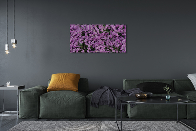 Leinwandbilder lilane Blumen