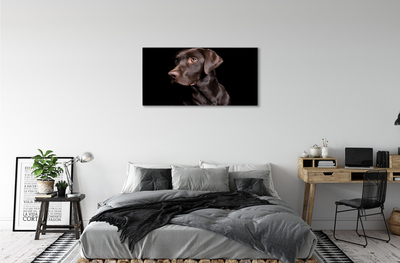 Leinwandbilder brauner Hund