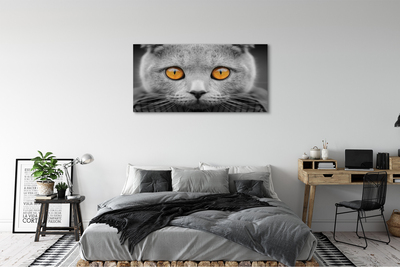 Leinwandbilder Britische graue Katze