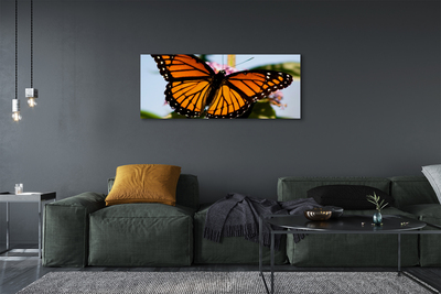 Leinwandbilder Schmetterling farbig
