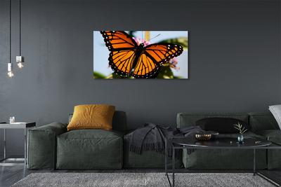 Leinwandbilder Schmetterling farbig