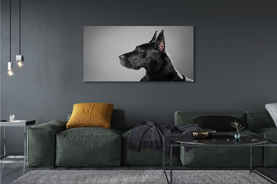 Leinwandbilder Schwarzer Hund